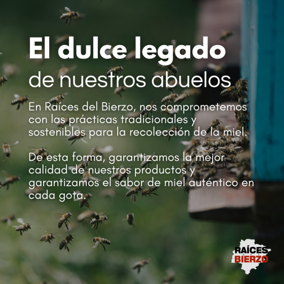 Miel Capeloso - Miel de Castaño